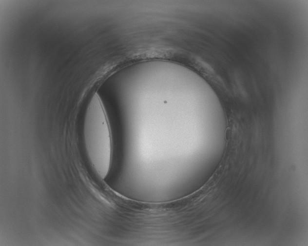 X0000051920250200506241137