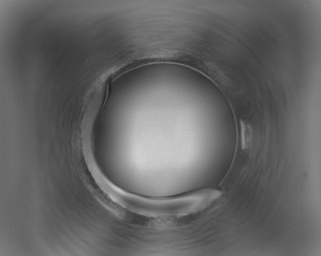X0000051920252200506241137