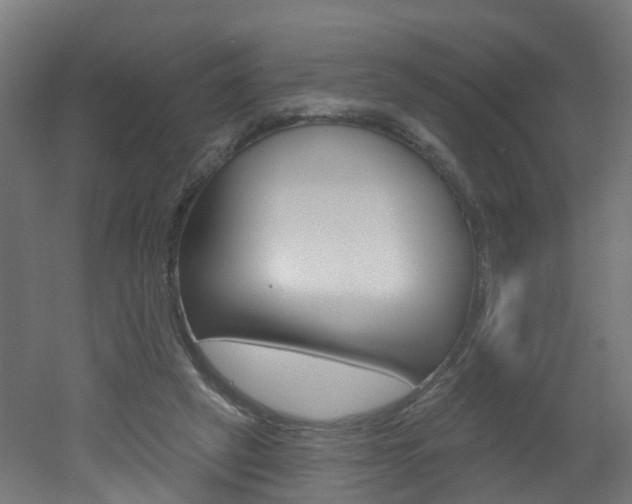 X0000051920257200506241137