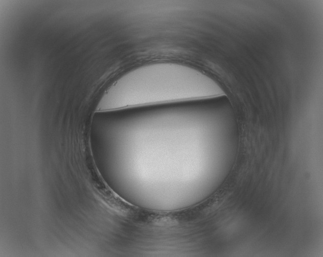 X0000051920258200506241137