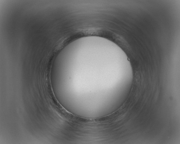 X0000051920259200506241137