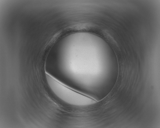 X0000051920260200506241137