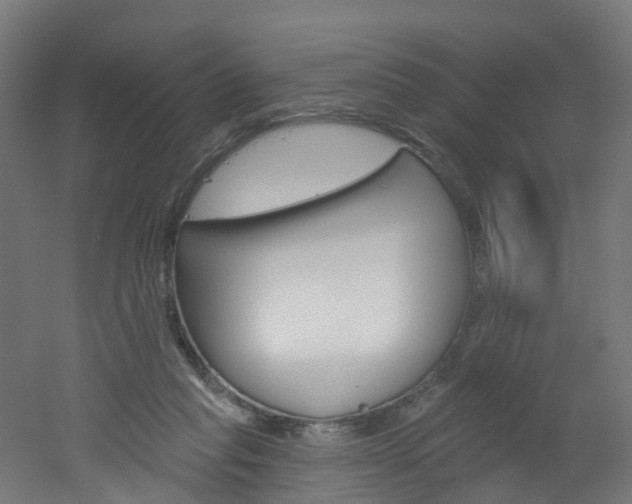 X0000051920261200506241137