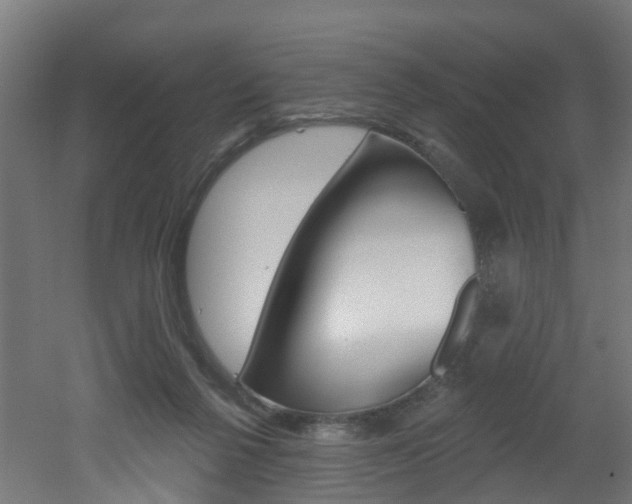X0000051920264200506241137