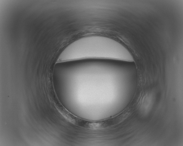 X0000051920265200506241137