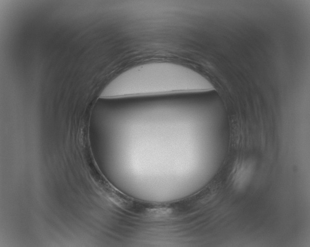 X0000051920266200506241137