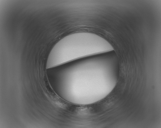 X0000051920267200506241137