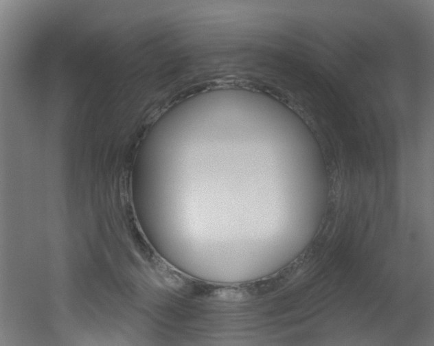 X0000051920272200506241137