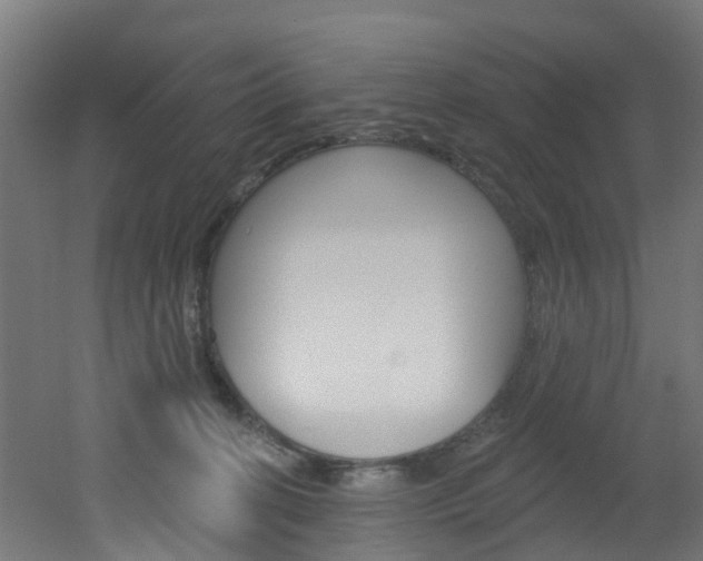 X0000051920274200506241137