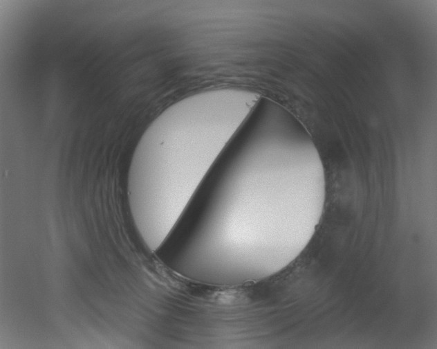 X0000051920275200506241137
