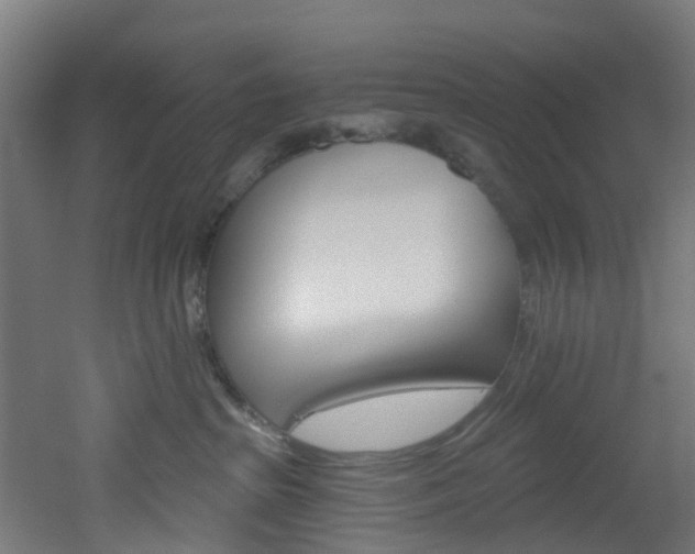 X0000051920285200506241137