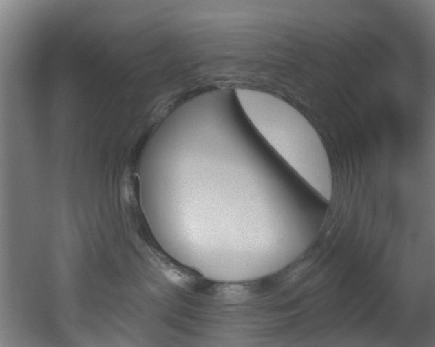 X0000051920287200506241137