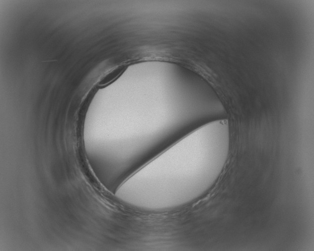 X0000051920291200506241136