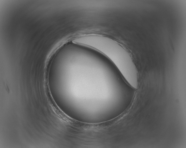 X0000051920293200506241136