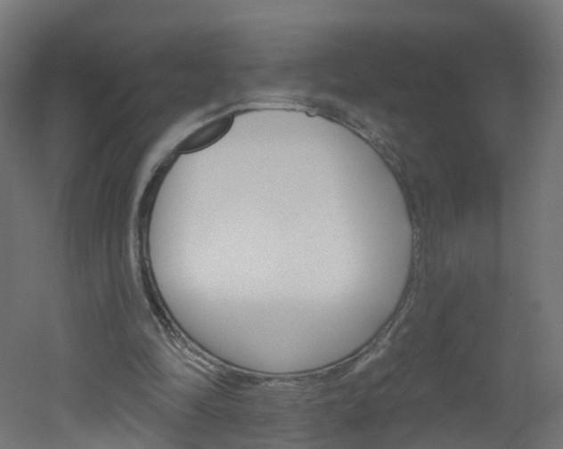 X0000051920294200506241136