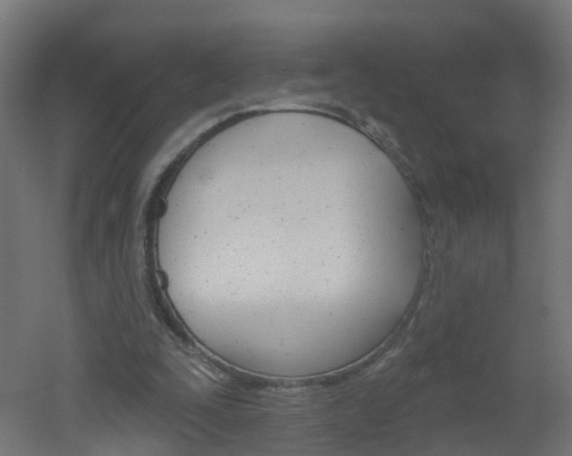 X0000051920295200506241136