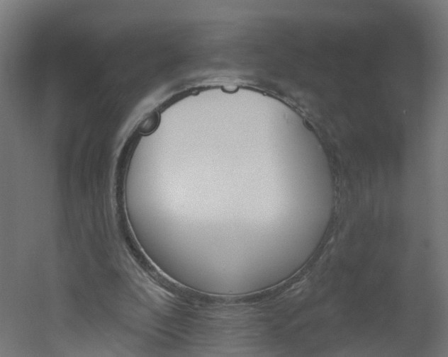 X0000051920296200506241136