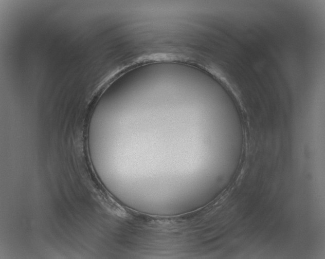 X0000051920297200506241136