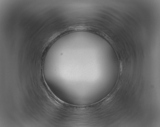 X0000051920301200506241136