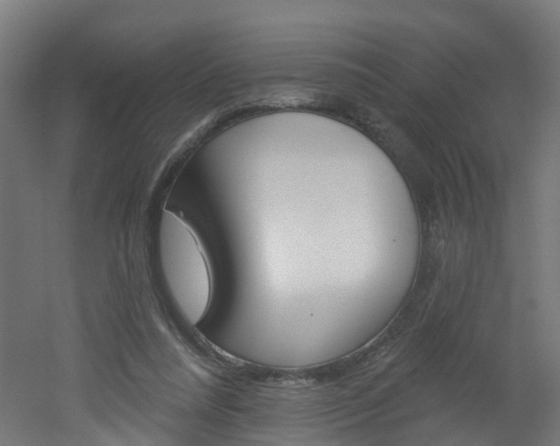 X0000051920304200506241136