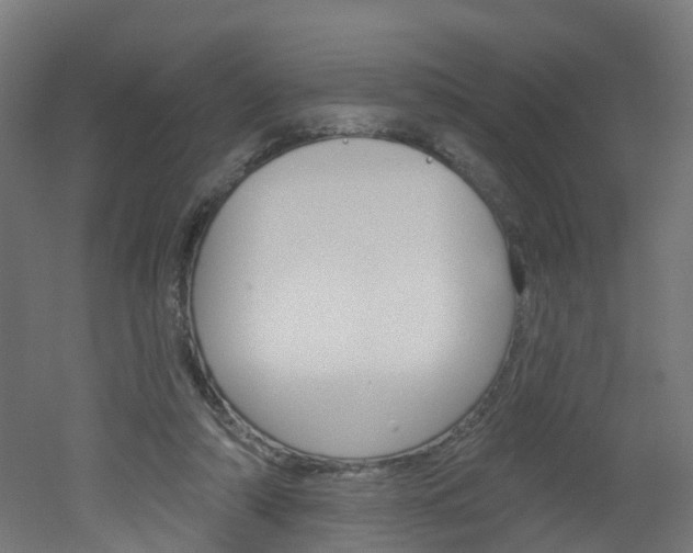 X0000051920306200506241136