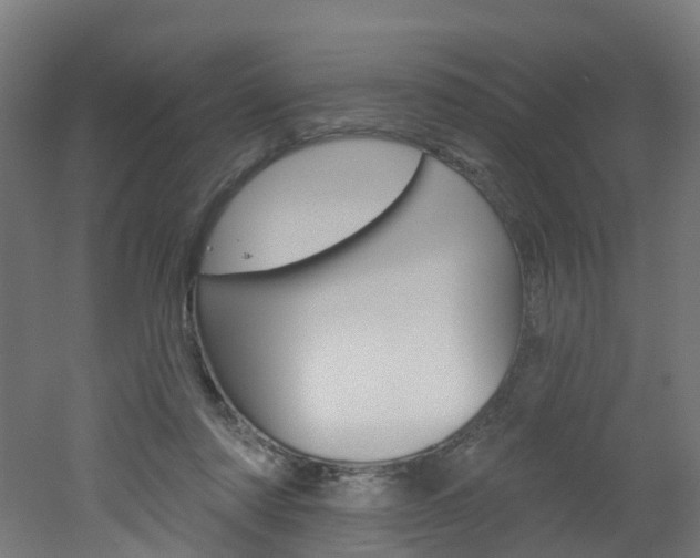 X0000051920310200506241136