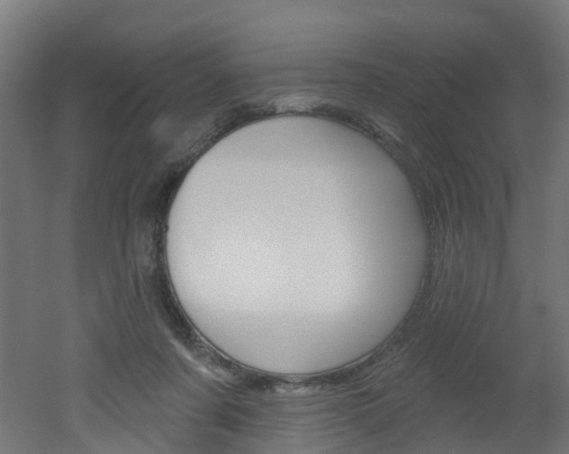 X0000051920311200506241136
