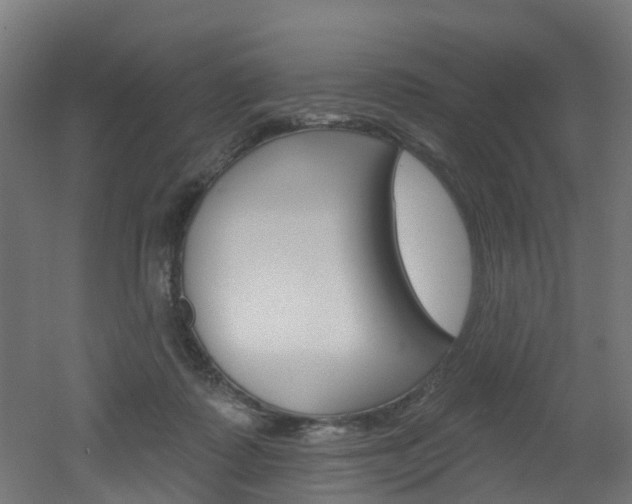 X0000051920315200506241136