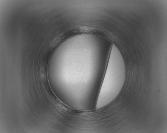 X0000051920317200506241136