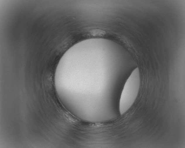 X0000051920321200506241136