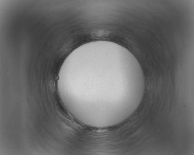 X0000051920324200506241136