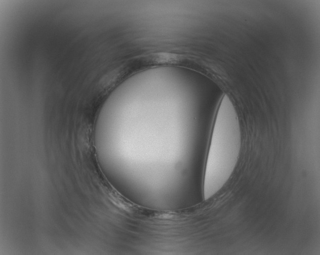 X0000051920325200506241136