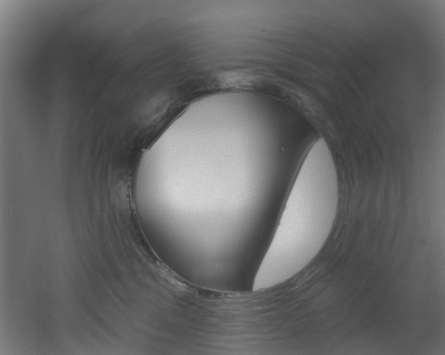 X0000051920329200506241136