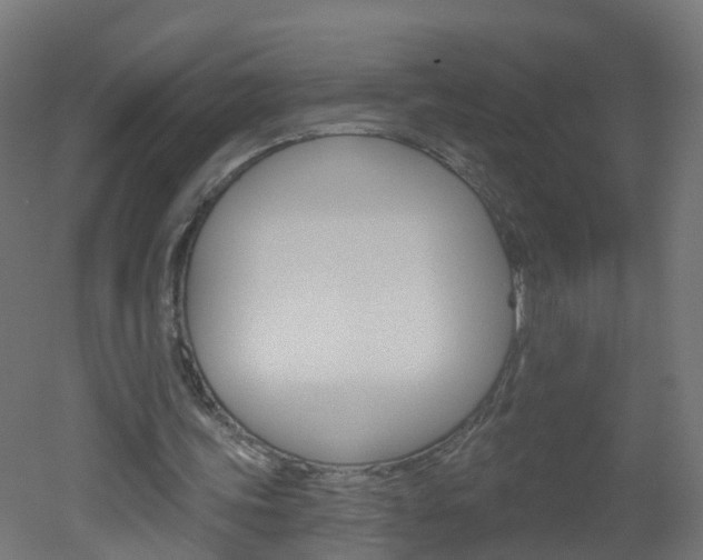 X0000051920339200506241135