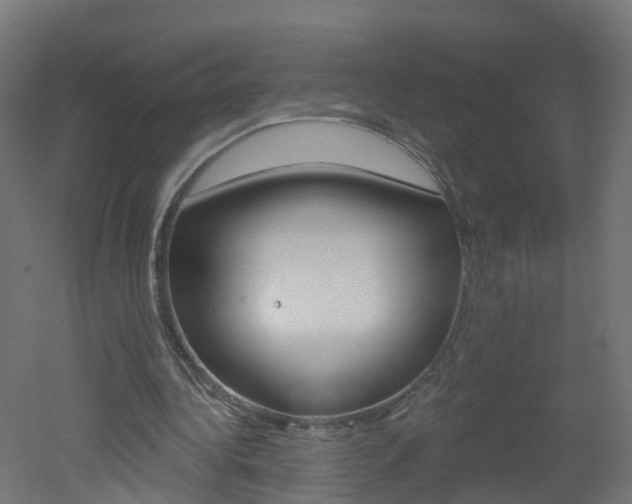 X0000051920340200506241135