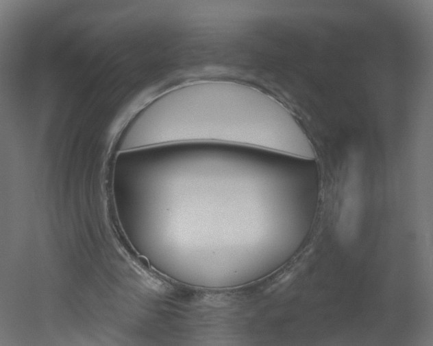 X0000051920341200506241135