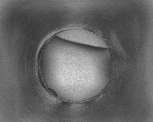 X0000051920342200506241135