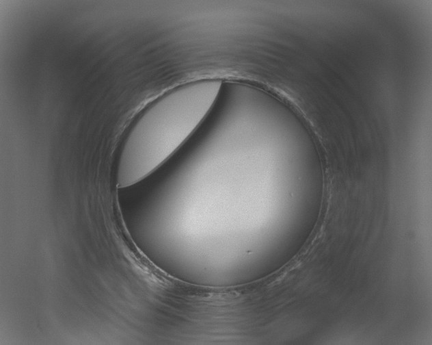 X0000051920345200506241135