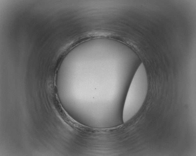 X0000051920352200506241135