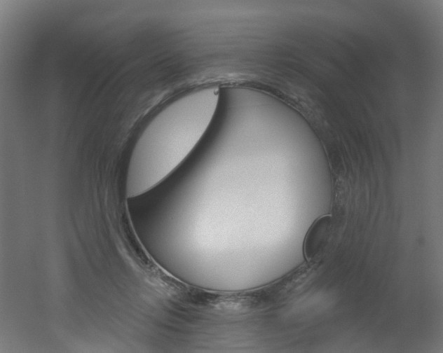 X0000051920358200506241135