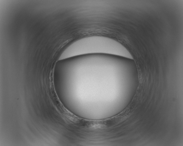 X0000051920360200506241135
