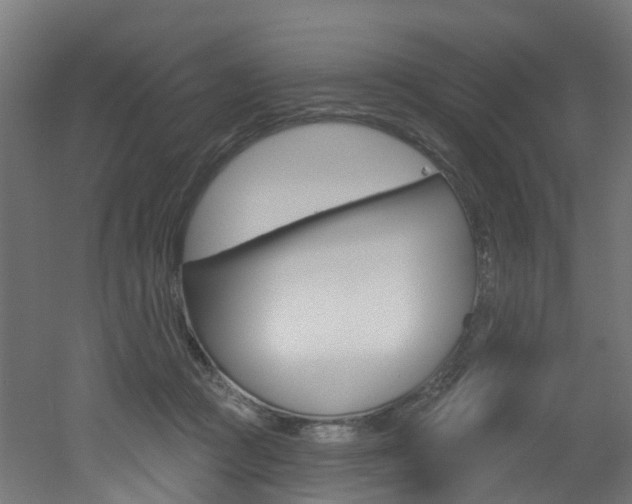 X0000051920361200506241135