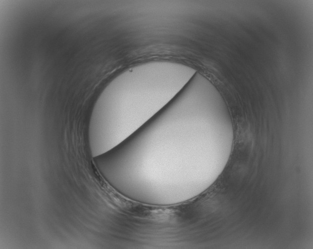 X0000051920363200506241135