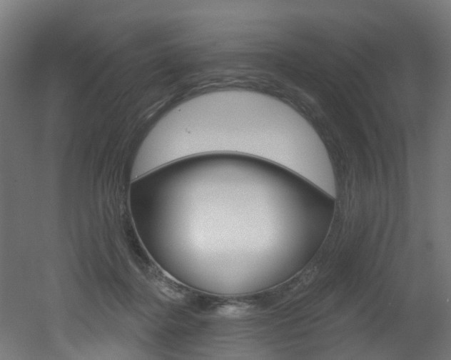 X0000051920364200506241135