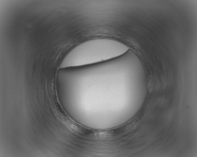 X0000051920365200506241135