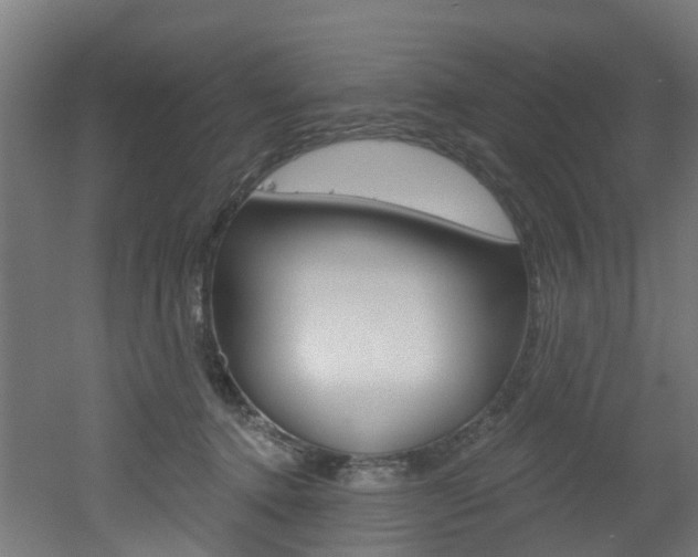 X0000051920368200506241135