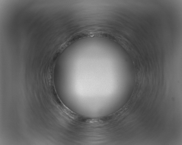 X0000051920372200506241135