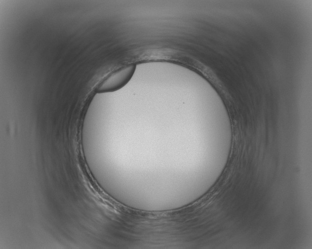 X0000051920386200506241135