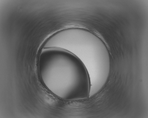 X0000051920387200506241135