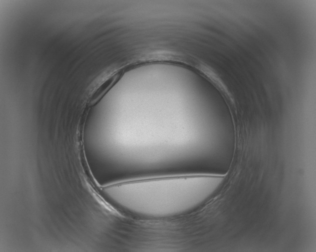 X0000051920389200506241135